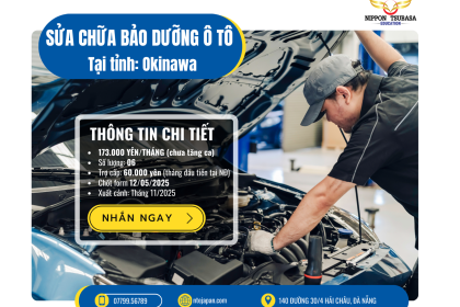ĐƠN HÀNG SỬA CHỮA Ô TÔ ĐI NHẬT 2025 – CƠ HỘI VÀNG CHO LAO ĐỘNG NAM TẠI OKINAWA