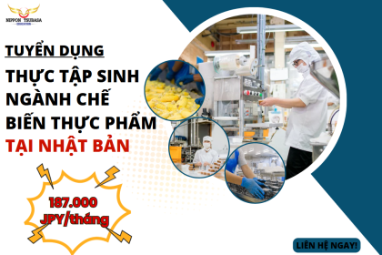 Tuyển Thực Tập Sinh Ngành Chế Biến Đồ Ăn Sẵn Làm Việc Tại Nhật – Lương 30 Triệu/Tháng