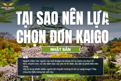 Tại Sao Nên Lựa Chọn Đơn Kaigo Thay Vì Chờ Đơn Kỹ Sư Hay Xây Dựng?
