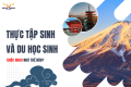Thực Tập Sinh Và Du Học Sinh Khác Nhau Như Thế Nào? So Sánh Chi Tiết Từ A – Z