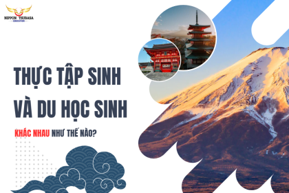 Thực Tập Sinh Và Du Học Sinh Khác Nhau Như Thế Nào? So Sánh Chi Tiết Từ A – Z