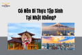 Có Nên Đi Thực Tập Sinh Tại Nhật Không?