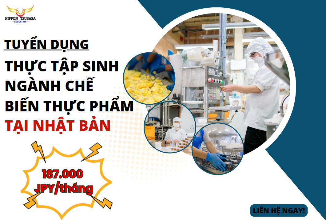 Tuyển Thực Tập Sinh Ngành Chế Biến Đồ Ăn Sẵn Làm Việc Tại Nhật – Lương 30 Triệu/Tháng