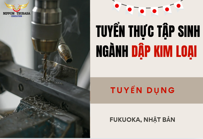 TUYỂN THỰC TẬP SINH NGÀNH DẬP KIM LOẠI